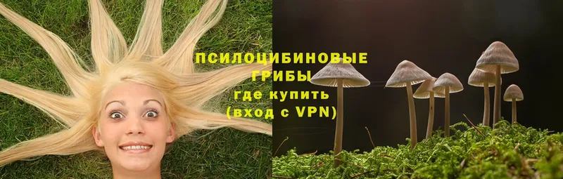 ссылка на мегу зеркало  Россошь  Псилоцибиновые грибы Magic Shrooms 